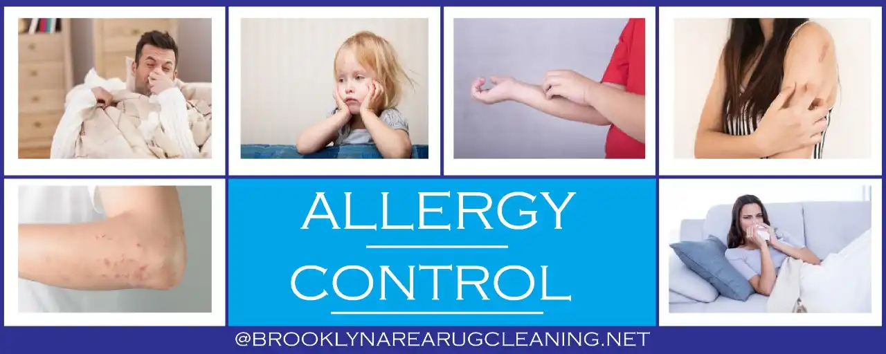 Allergy Control Brooklyn