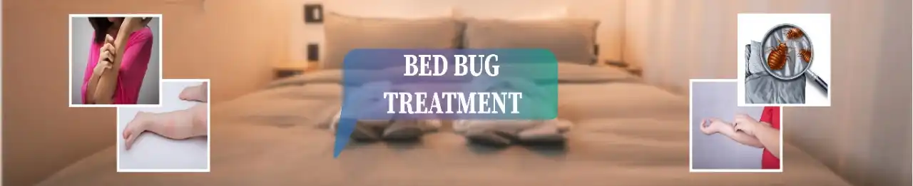 Bed bug treatment in Brooklyn, NY