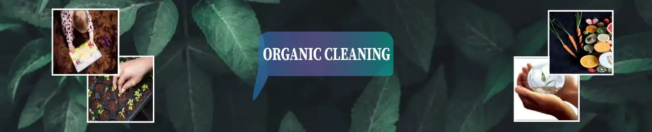 Organic carpet cleaning service in brooklyn ny