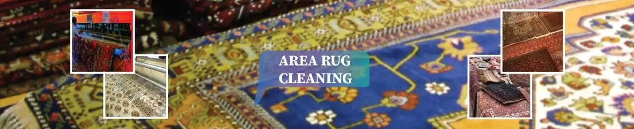 Area rug cleaning brooklyn ny