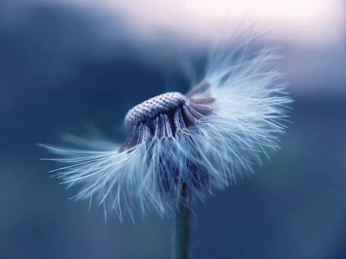 Allergy control treatment brooklyn ny
