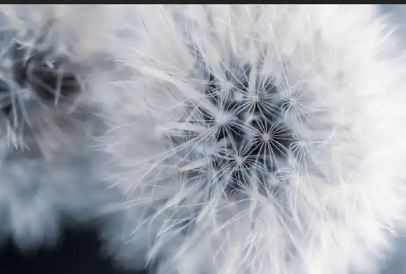 Allergy control treatment brooklyn ny