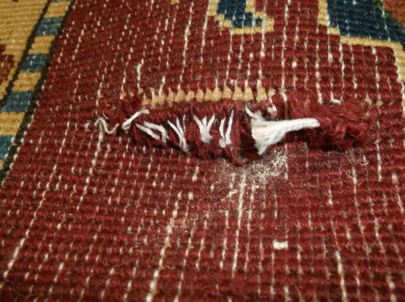 Area rug repair service brooklyn ny