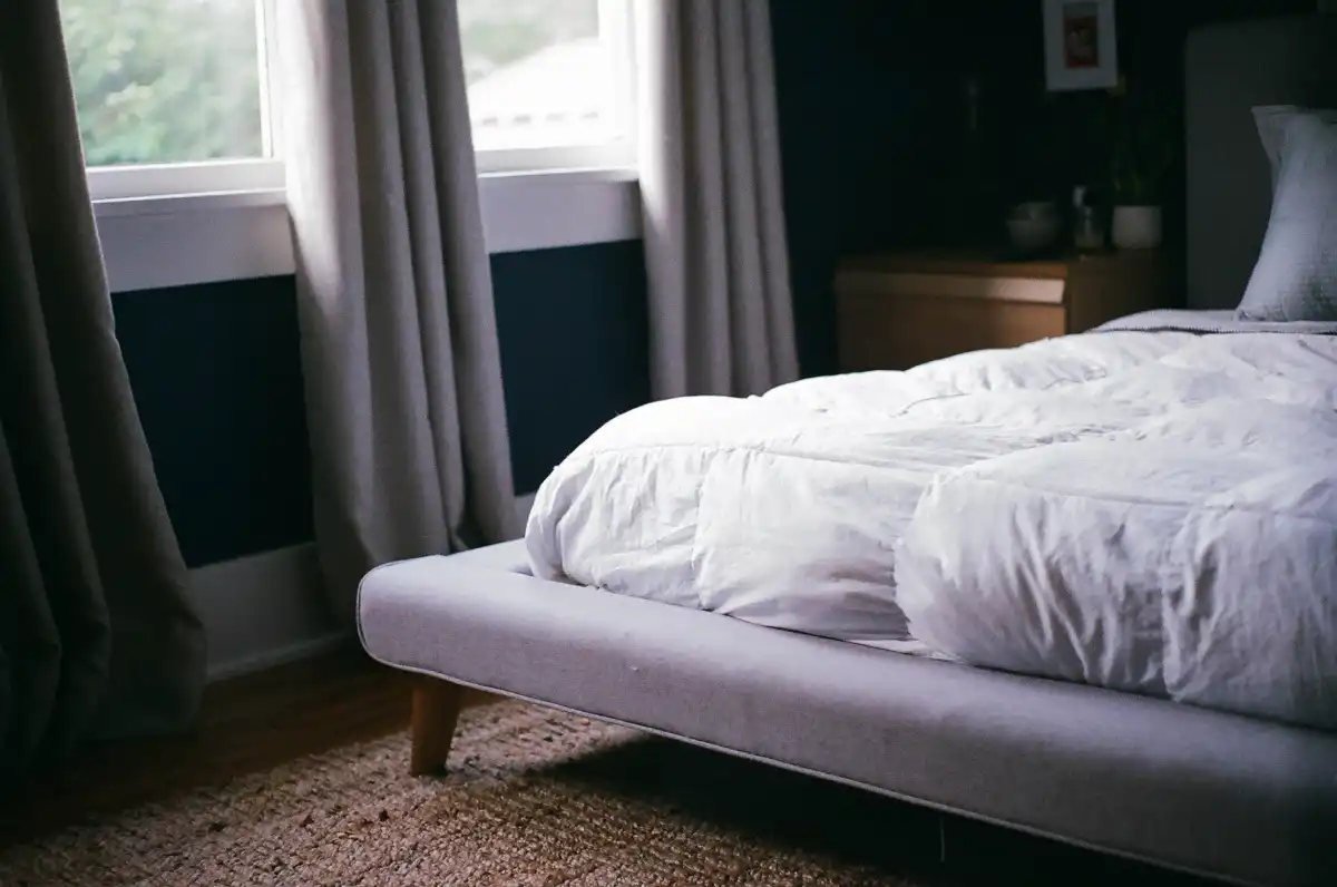 Bed bug treatment brooklyn ny