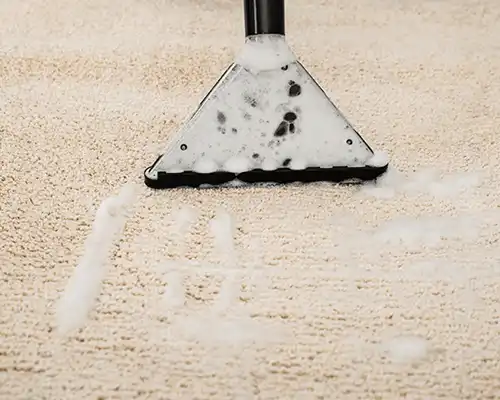 Carpet cleaning in Brooklyn, NY